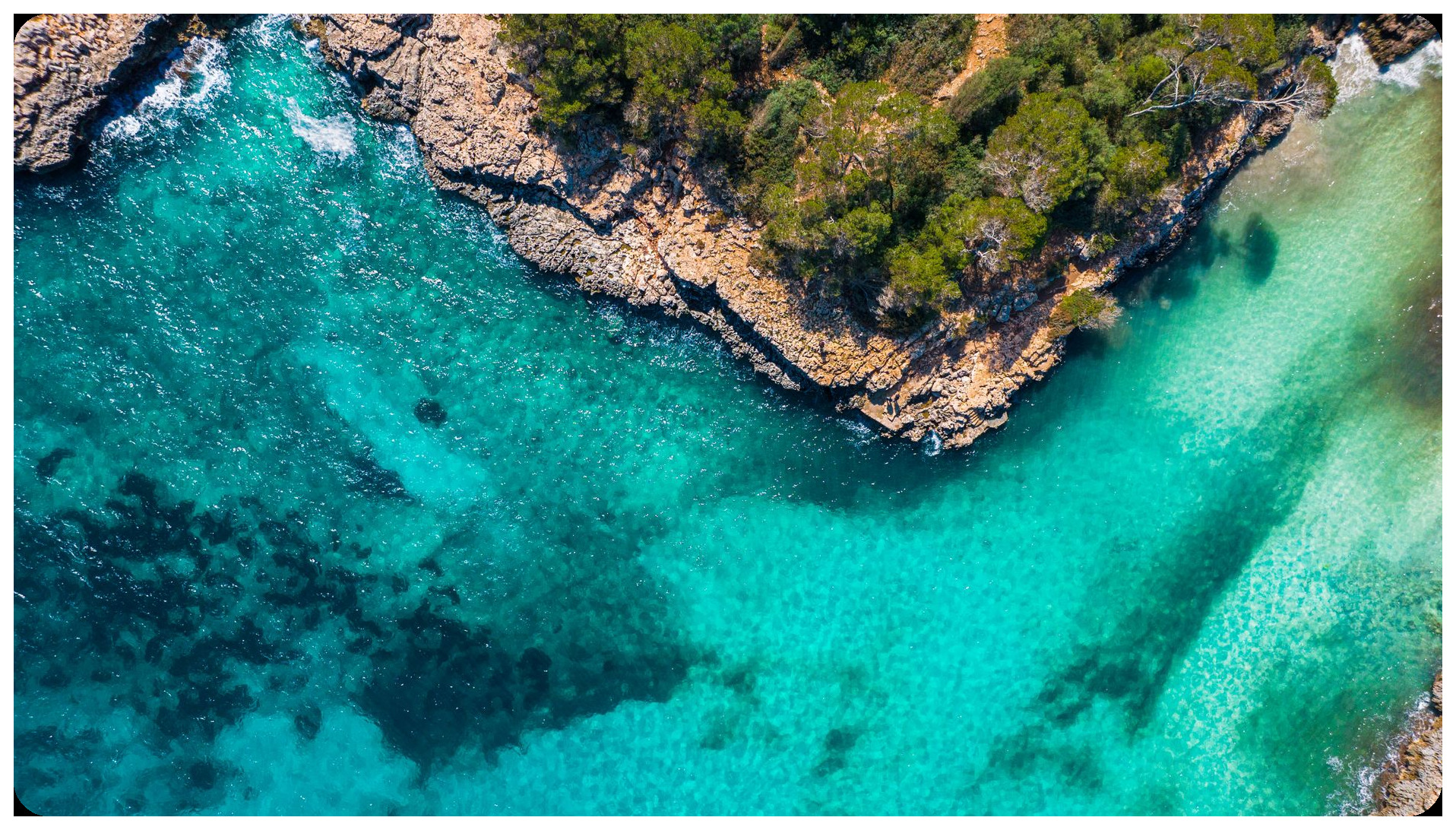 reconstructed tropical tethys ocean scene 35 million years ago Balearic Islands warm shallow seas with marine life ancient