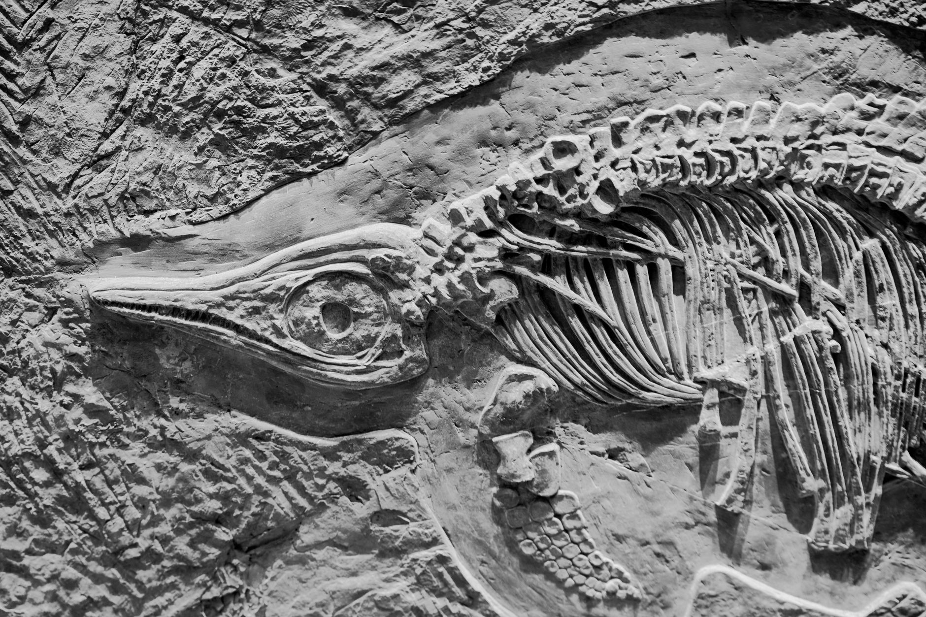 paleontologist carefully excavating dinosaur bones rioja site hands working on fossil dig detailed scientific work