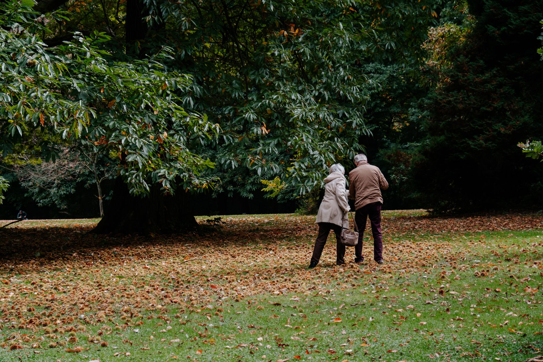 elderly couple walking in sunlit park active healthy lifestyle warm golden light