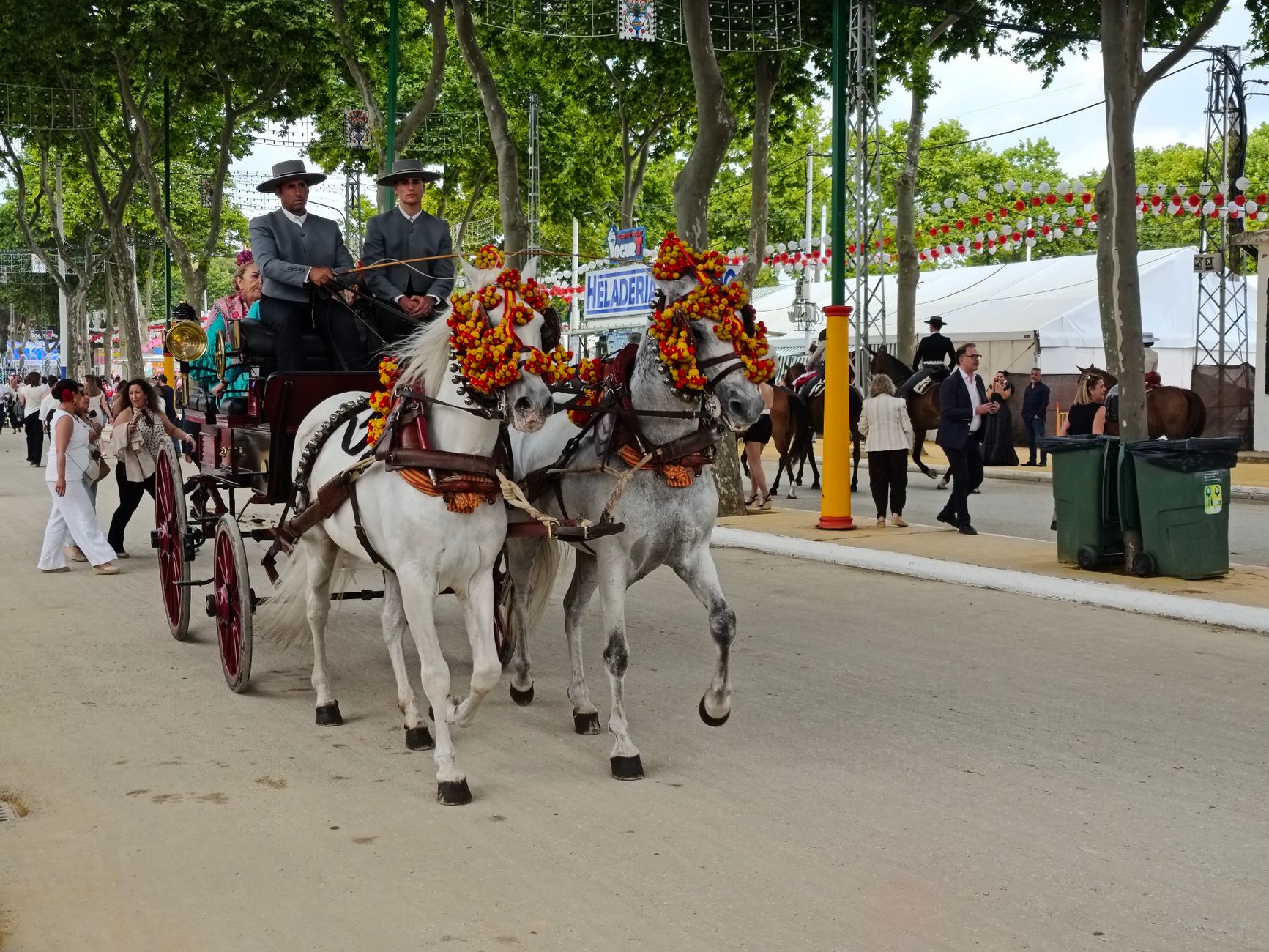 hand holding carnations shower petals falling air floral display decorated carriages traditional costumes celebration