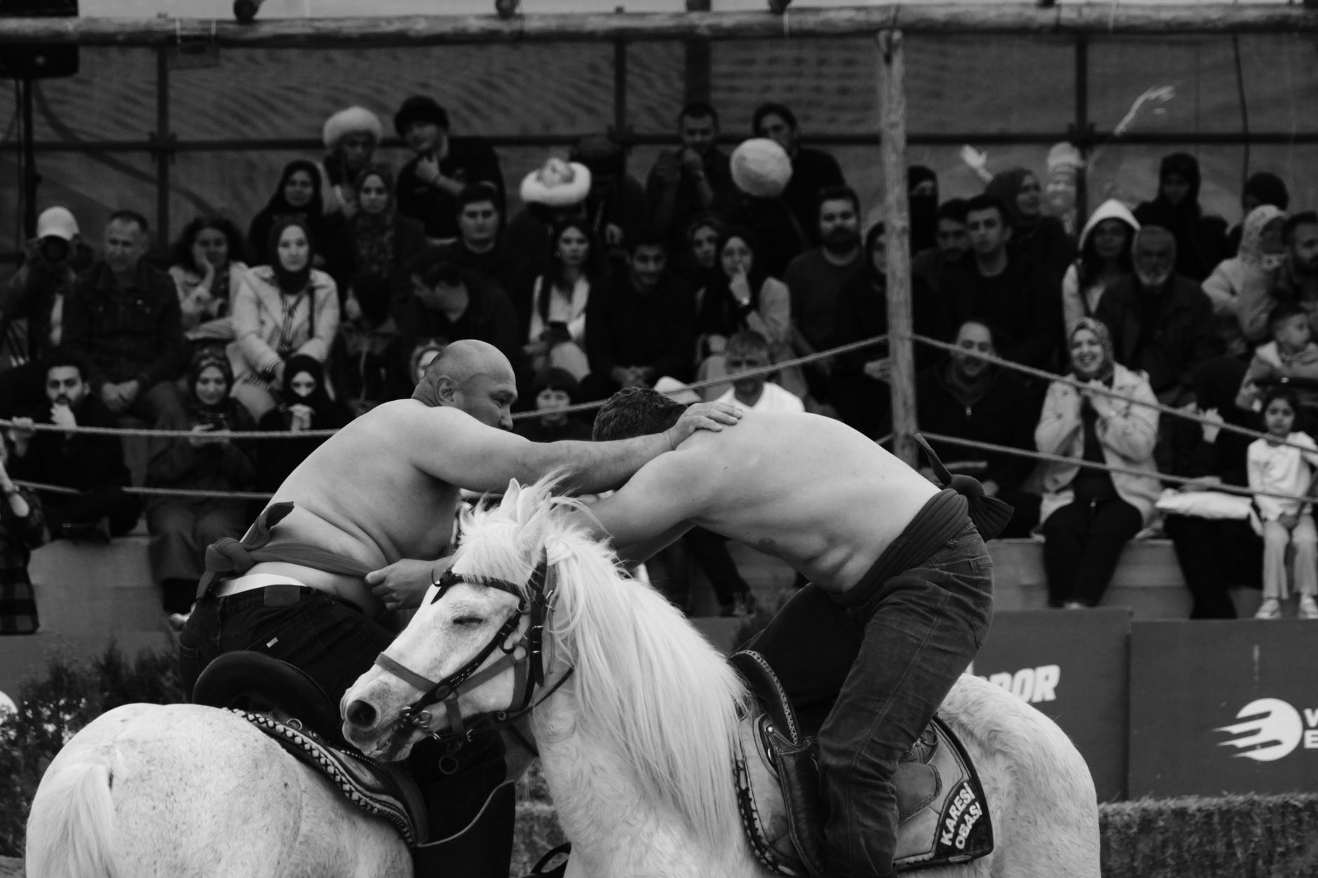 man wrestling wild horse in stone enclosure curro galician tradition rapa das bestas close-up action