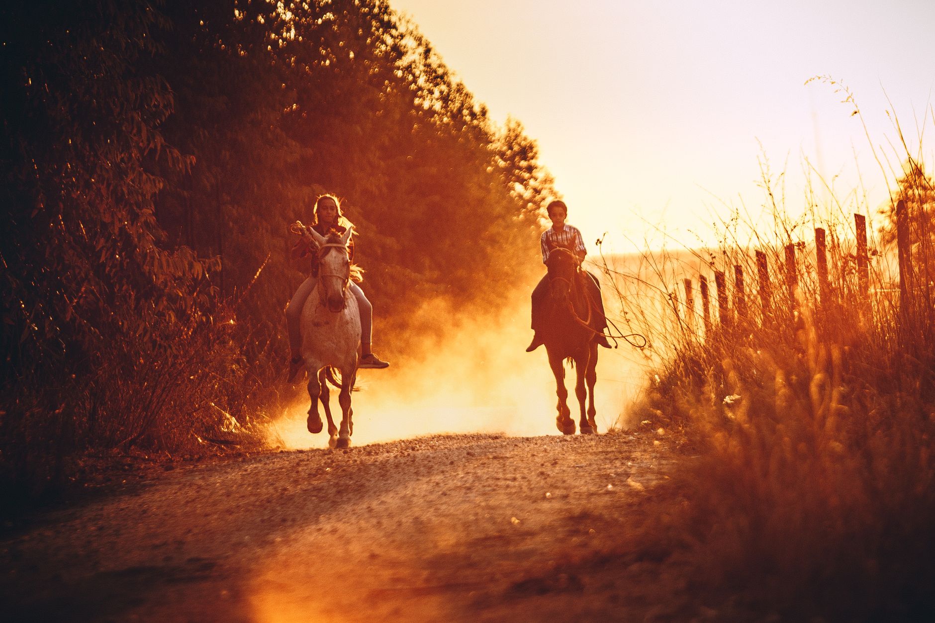 ancient bronze age horses with riders in central spanish plateau landscape golden light archaeological site madrid