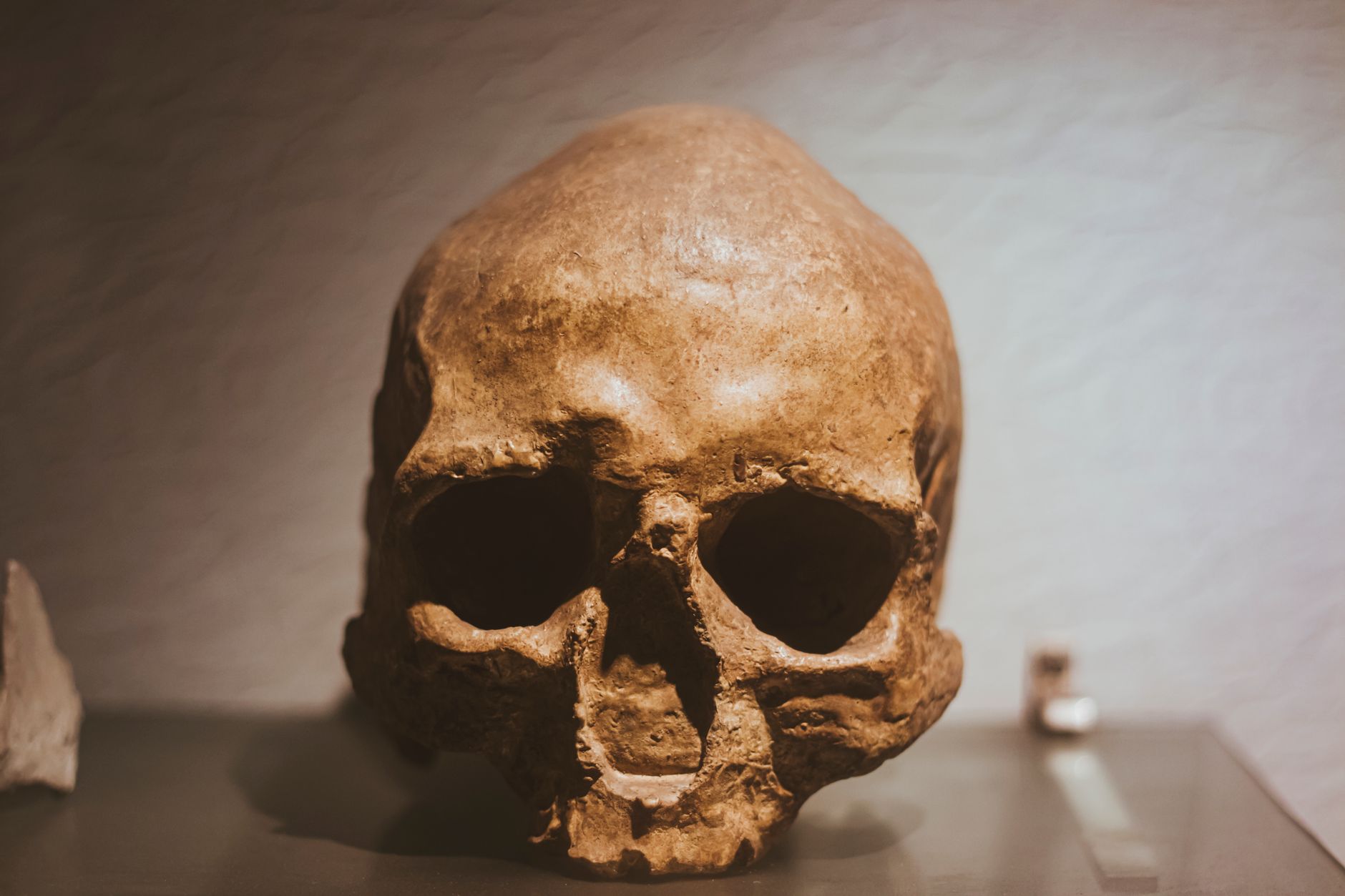 archaeological excavation of islamic necropolis, scattered bones and skeletal remains in tomb, dusty ground, scientific documentation and measurements
