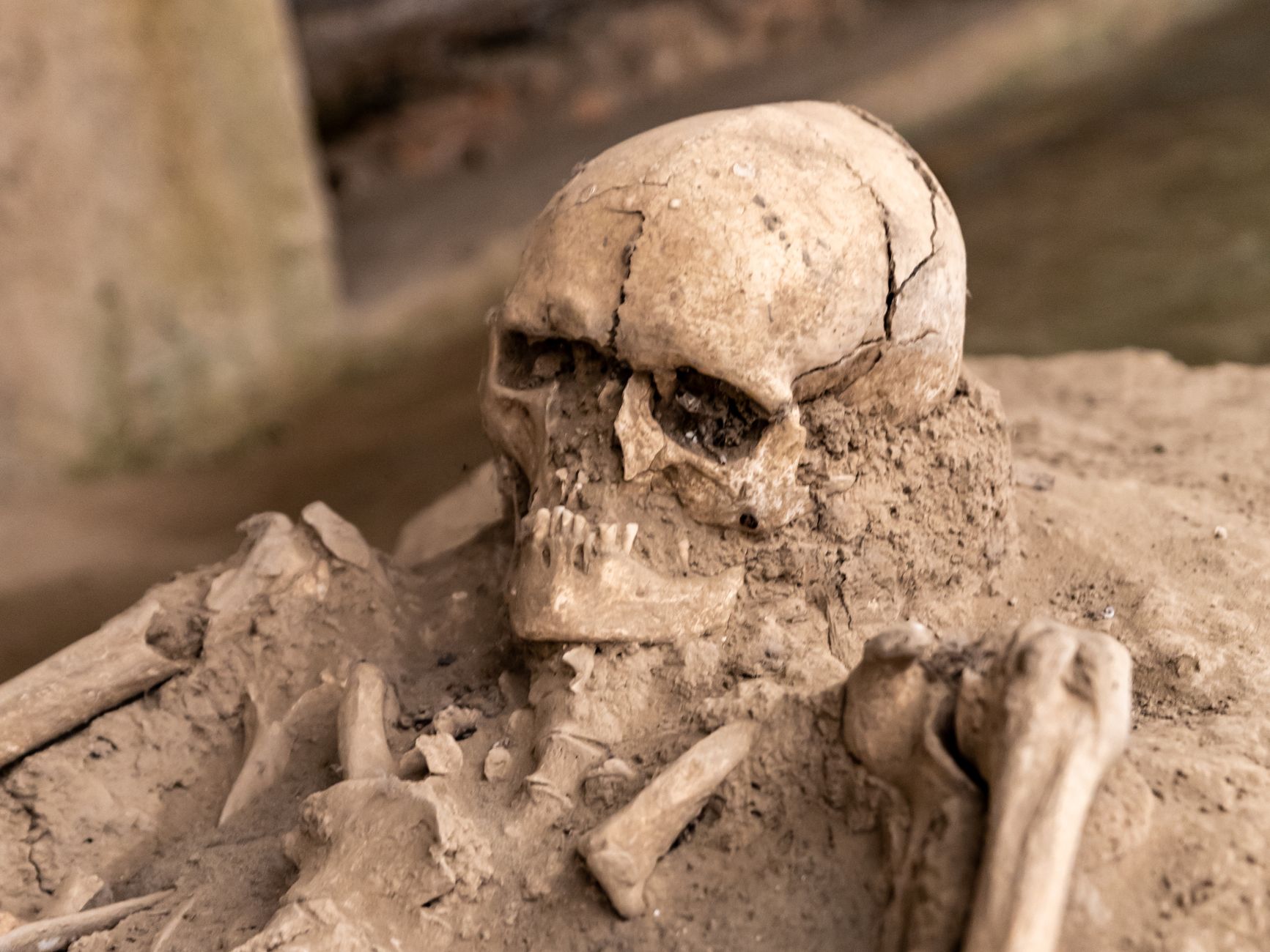 ancient hominid facial fossil fragment excavation site dramatic archaeological lighting Atapuerca Spain