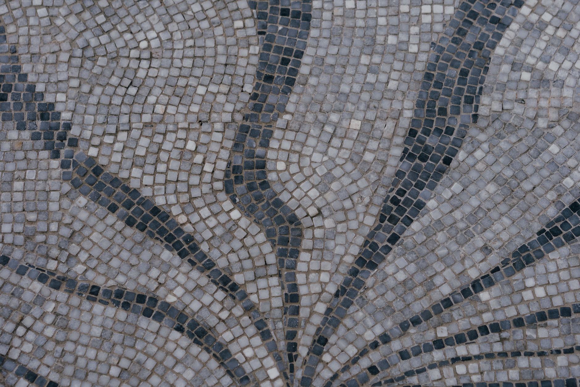 close up detail black and white geometric roman mosaic tiles excavation trench