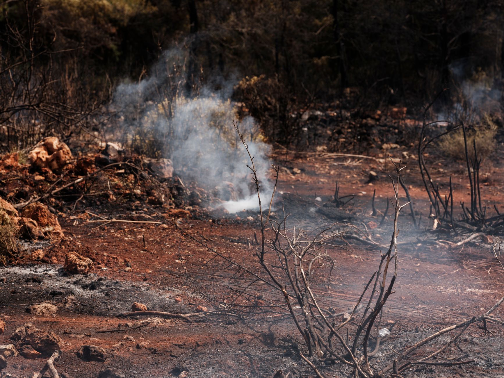 wildfire smoke rising over scorched Spanish hillside revealing old war trenches, dramatic golden light